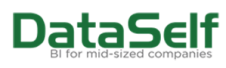 DataSelf Logo